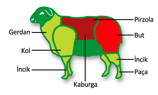 Karkas Nedir Ne Demek Nasıl Yapılır