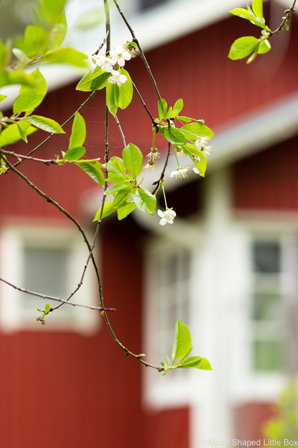 Sortter remonttilainan kilpailuttaminen