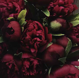 Когда можно дарить пионы