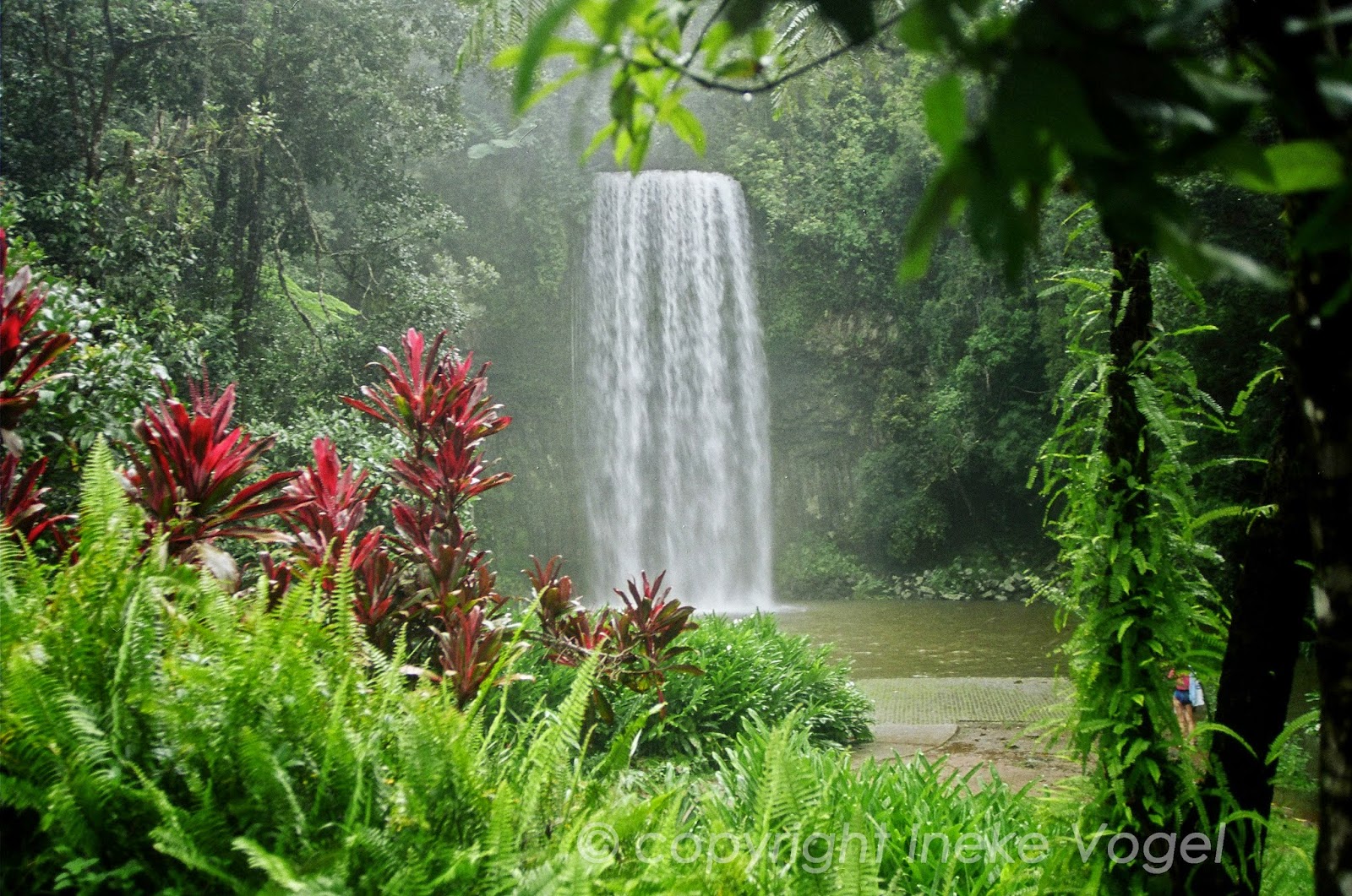 Australian waterfalls Millaa Millaa Falls Queensland