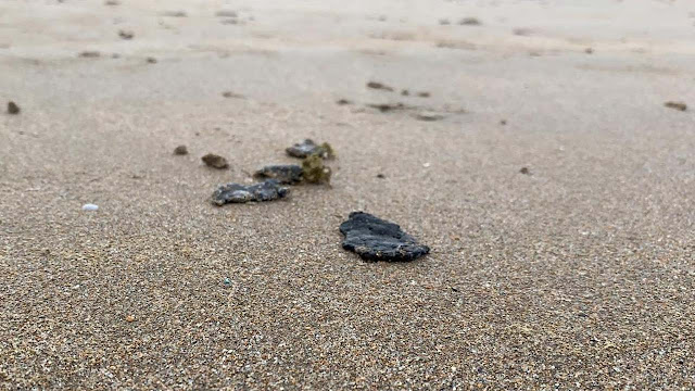 Manchas de óleo chegam a Salvador e cresce número de cidades atingidas na Bahia