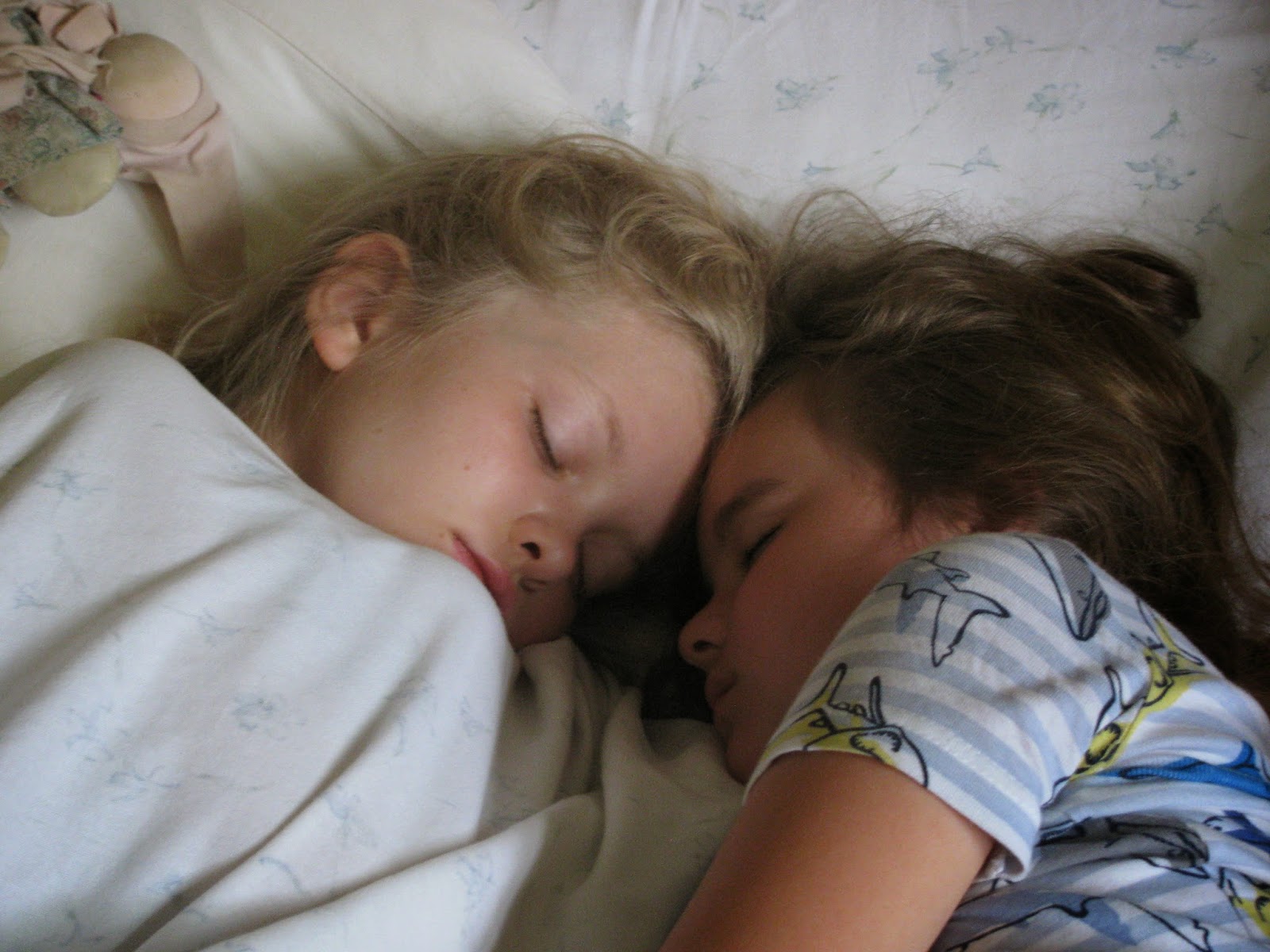 Ролики спящие сестры