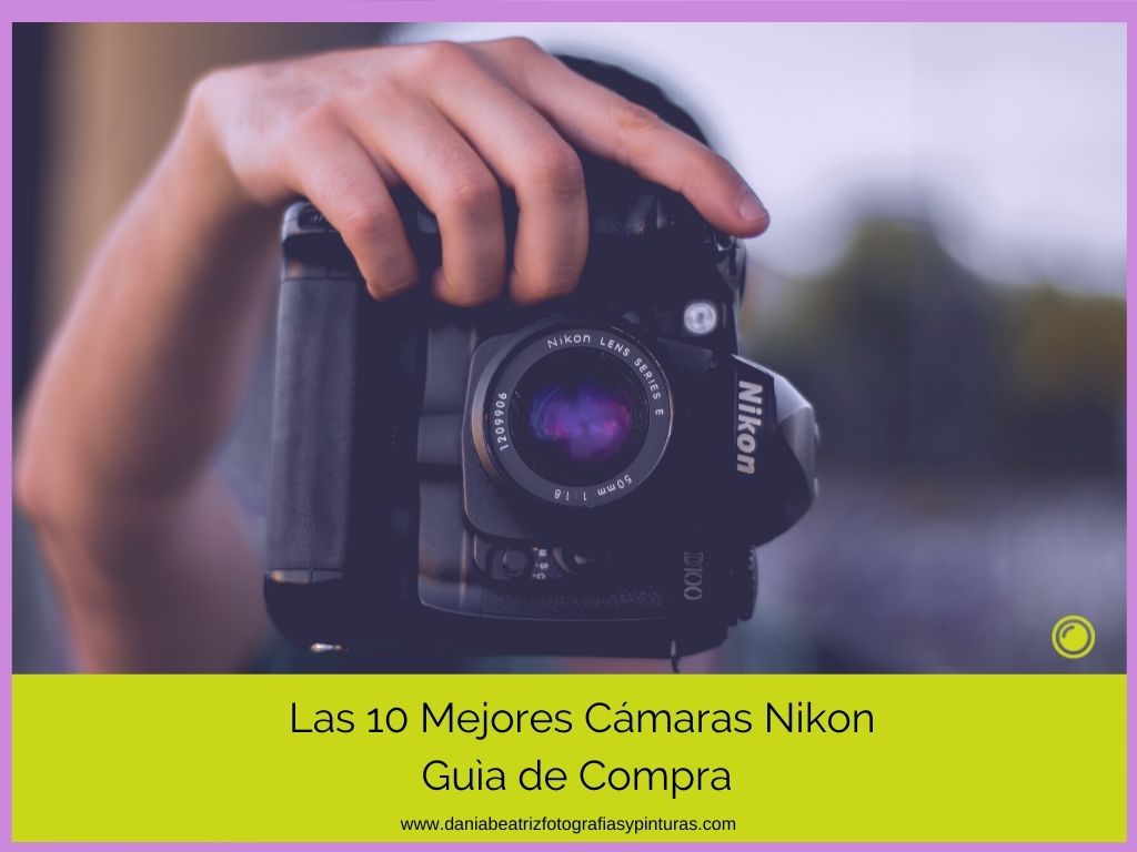 Cámaras Réflex Digitales Nikon — Nikon Argentina