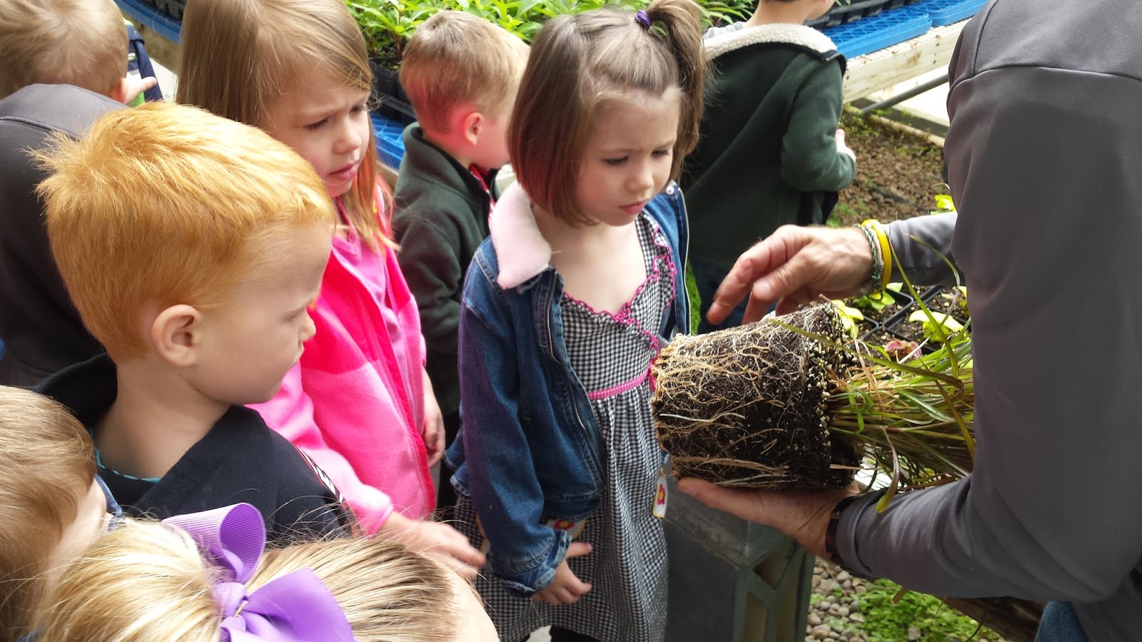 Hesston College Preschool Greenhouse TR