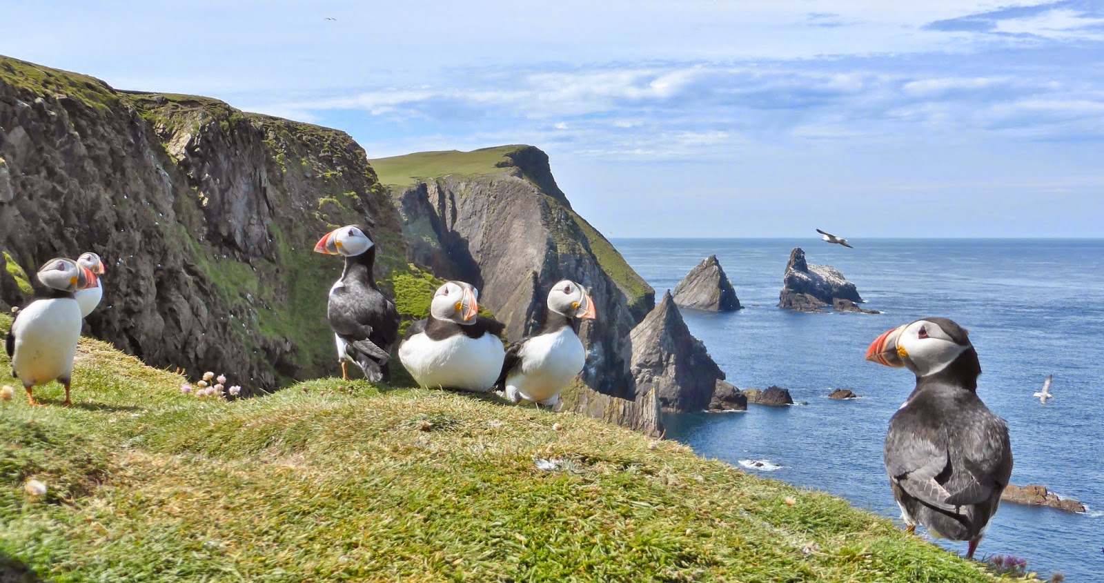 Fair Isle Fair Isle Marine Protective Area goes for Public