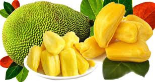 Nutritional benefits and benefits of jackfruit
