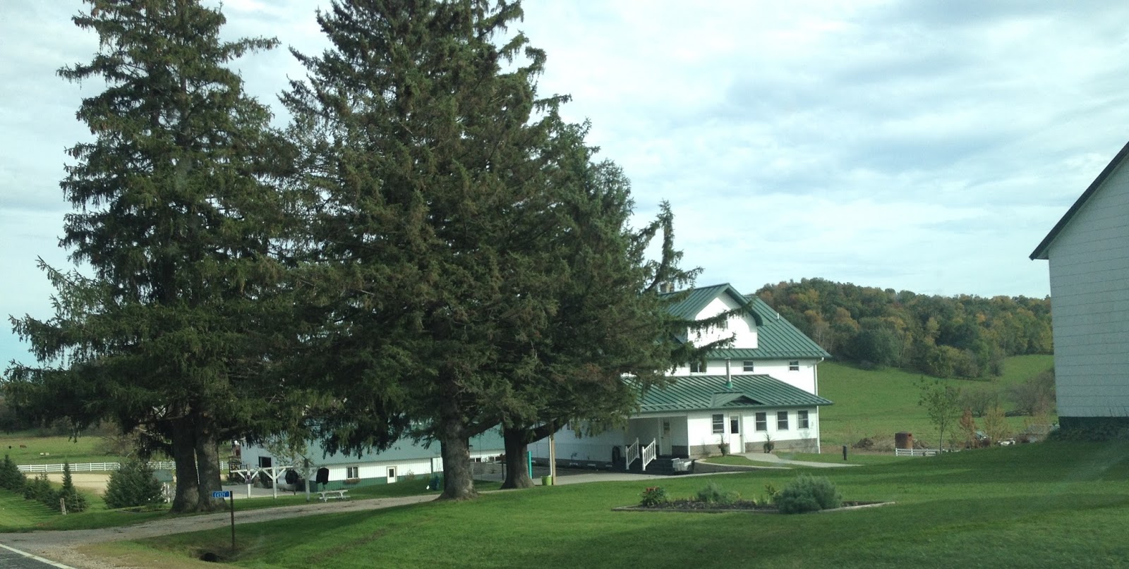 Amish Horses Amish Tour of Wisconsin