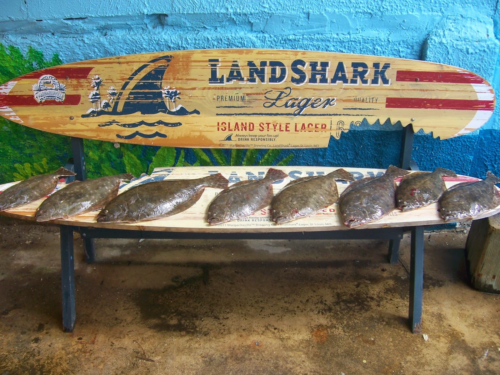 Galveston fishing report | Galveston Fishing Charter Company