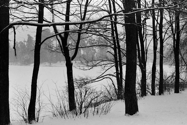 2007: Плёночные фотографии