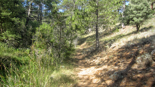 Sendero Vallejo de La Lobera