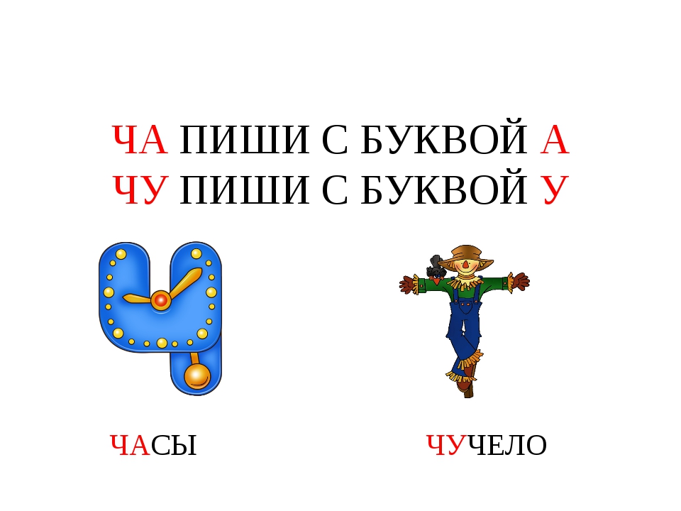 правописание буквосочетаний жи-ши. правило жи ши. чу щу с буквой у. ча чу правило. правила жи ши ча ща чу щу.
