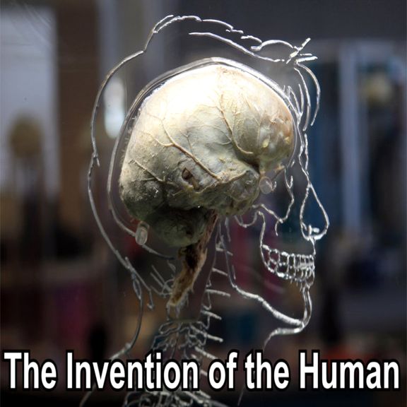 bloom invention of the human