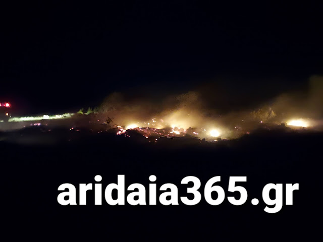 Πυρκαγιά στο Γαρέφι Αλμωπίας στην Αριδαία Πυρκαγιά στο Γαρέφι Αλμωπίας στην Αριδαία