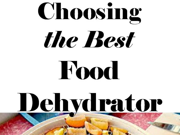 Choosing the Best Food Dehydrator