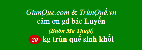 Trùn quế BMT