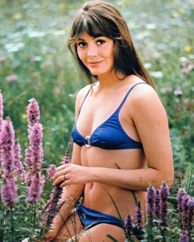 40 Glamorous Photos of Lesley-Anne Down in the 1970s ~ Vintage Everyday
