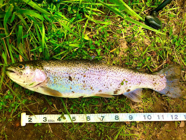 Trout Fishing Pittsburgh North Hills