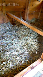 straw coop sand shavings chicken coops sunnysimplelife bedding