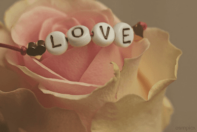 Love HD Images Download | Quotes, Wishes, Greetings, Wallpapers Download for Whatsapp