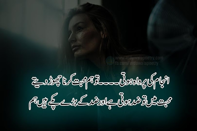 zid-shayari-in-urdu