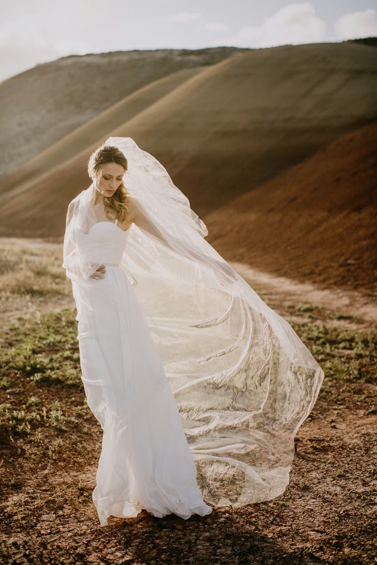 Wedding Dresses by Elizabeth Dye {Cool Chic Style Fashion}