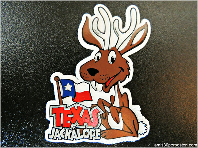 Texas Jackalope
