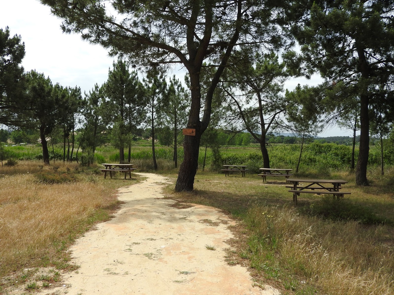 Picnikar Parque da Várzea (Quinta do Conde Sesimbra)