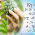 Gujarati Life Quotes|Gujarati Life Status|Gujarati Life Thoughts