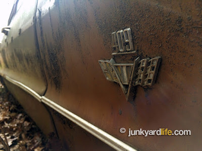 Mississippi car collector keeps 600 cars scattered across his property, among them a rare 409 w engine Impala wagon.