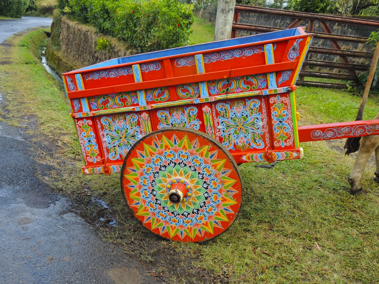 Tamarindo, Costa Rica Daily Photo Ox Cart