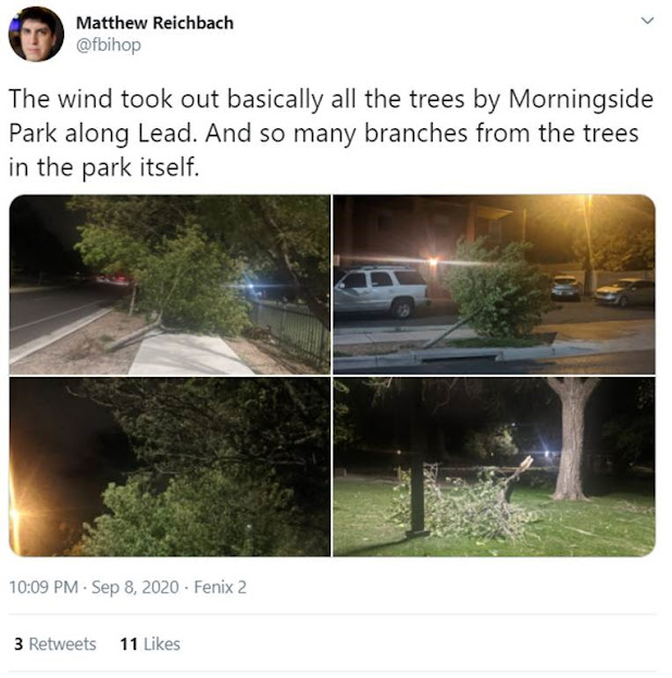 image of tweet with photos of wind-damaged trees