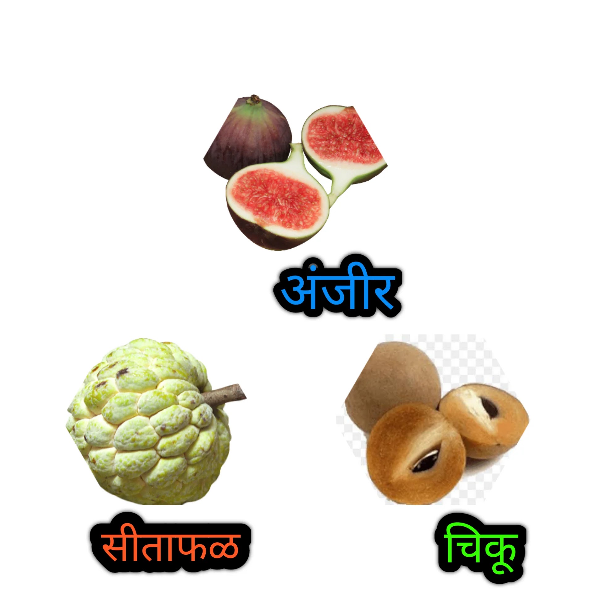 Fruits Images With Names in Marathi फळांची नावे इंग्रजीत व मराठी