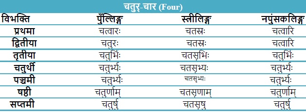Chatur shabd roop in Sanskrit