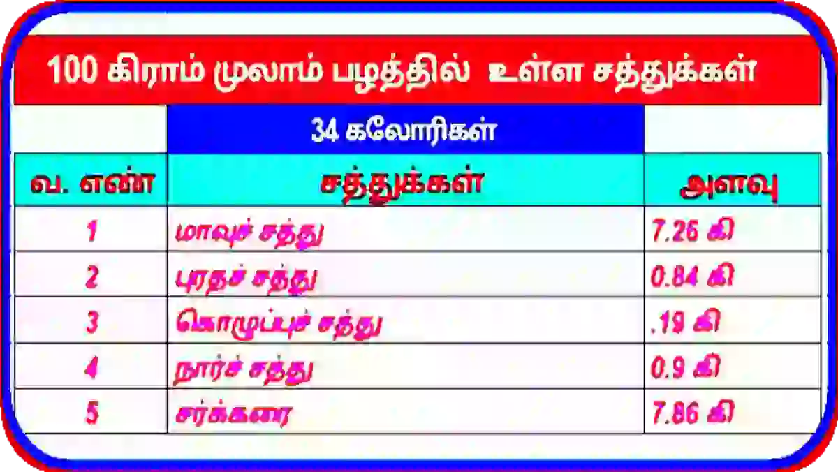 முலாம் பழம் நன்மைகள் தீமைகள் மற்றும் சத்துக்கள் முலாம் பழம் சத்துக்கள் அட்டவணை 1