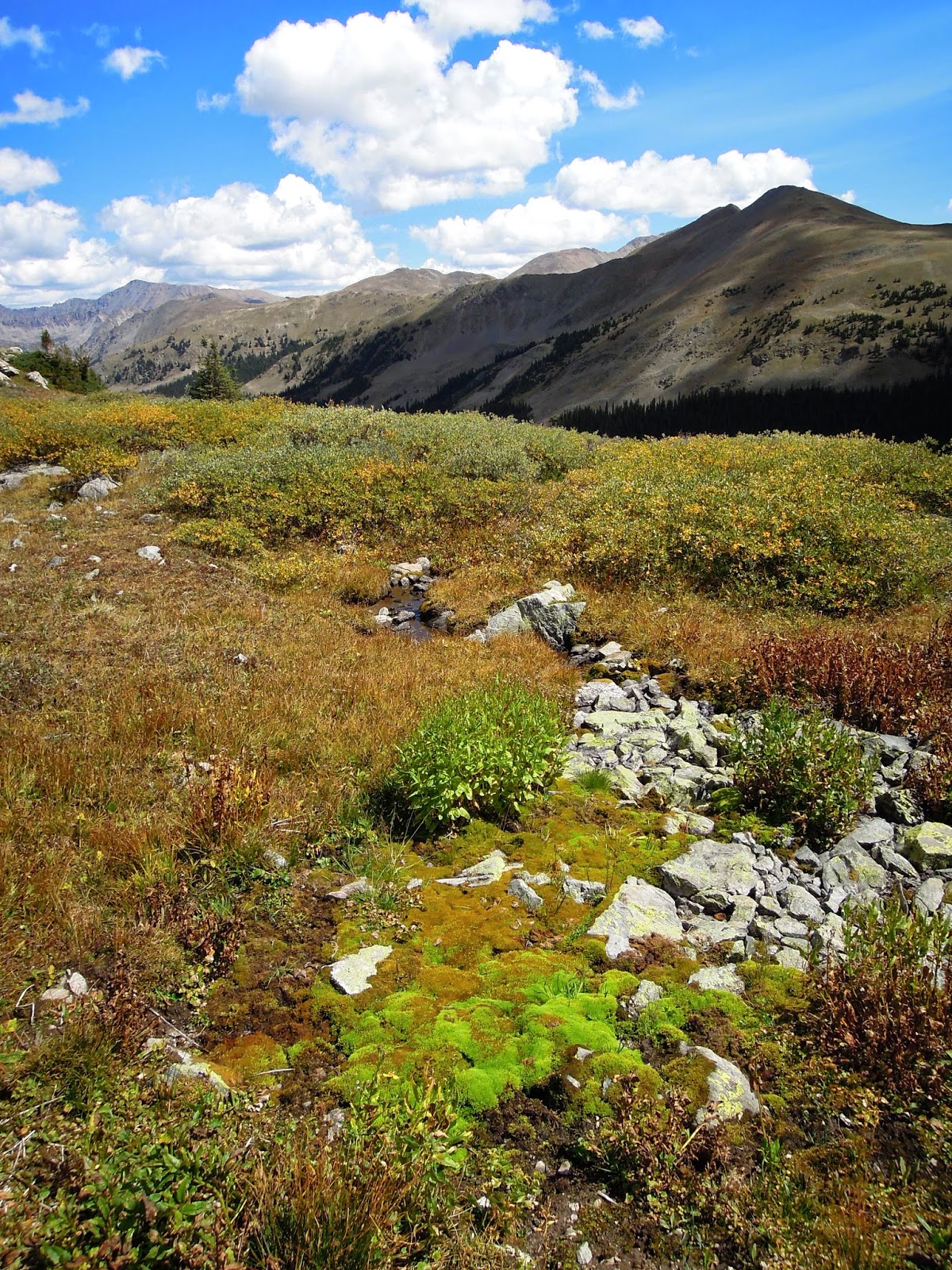 Peaceful Valley Herbs and Quilts: There is Still Time....