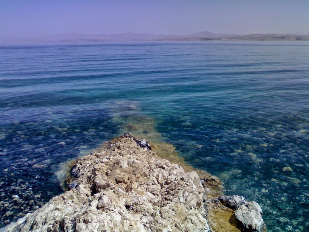 Чудовище озера ван Чудовище озера ван