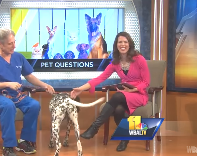 THE APPRECIATION OF BOOTED NEWS WOMEN BLOG WBAL'S MEGAN PRINGLE LOOKS