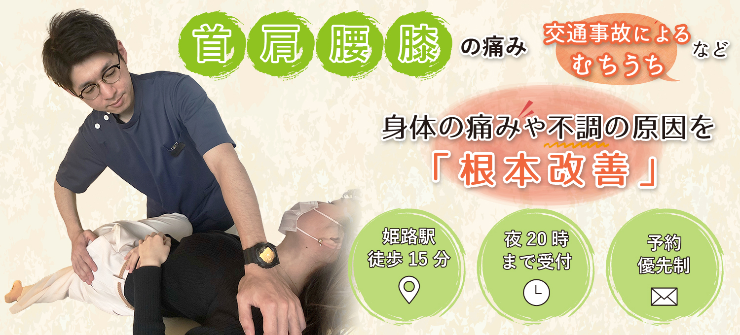 Iroha Acupuncture and Moxibustion Institute Himeji Hojo