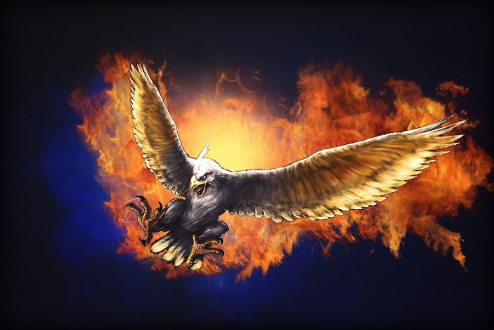 Phoenix illustration fire eagle animals digital art HD wallpaper   Wallpaper Flare