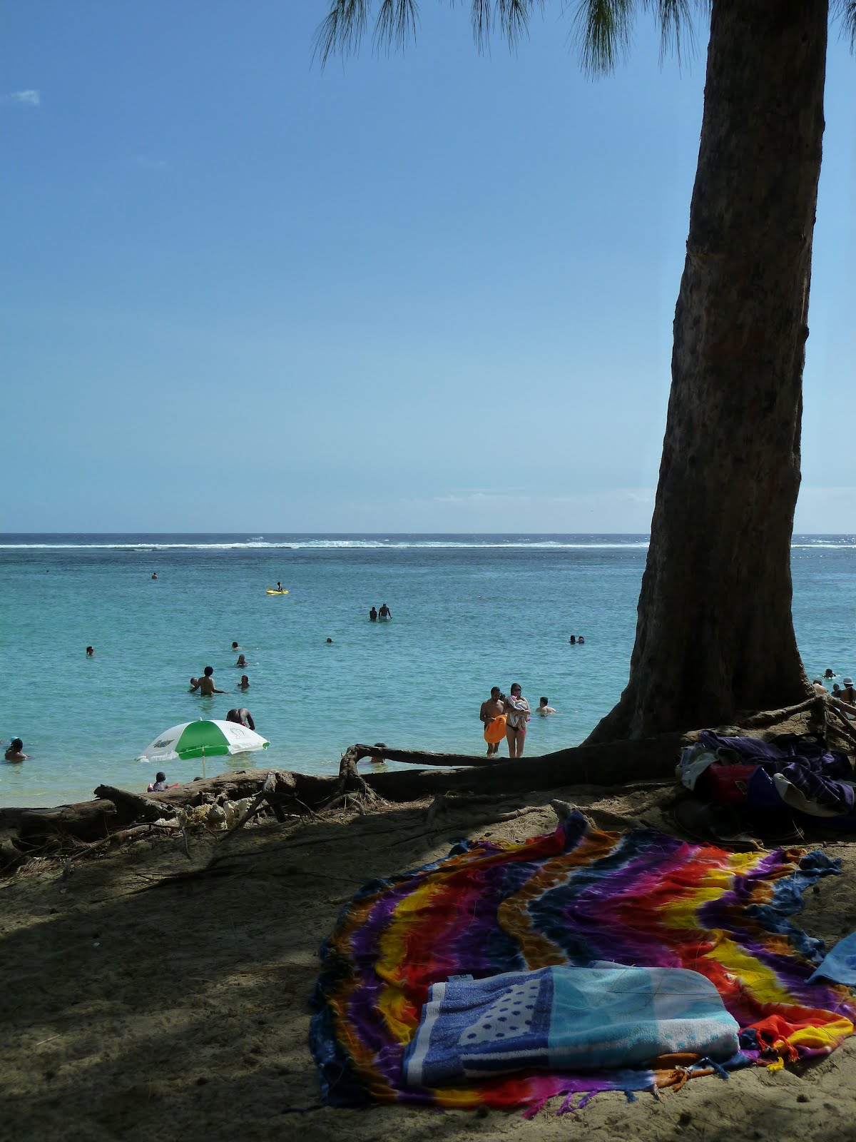 Sara rapporterar: Det blev en dag på stranden