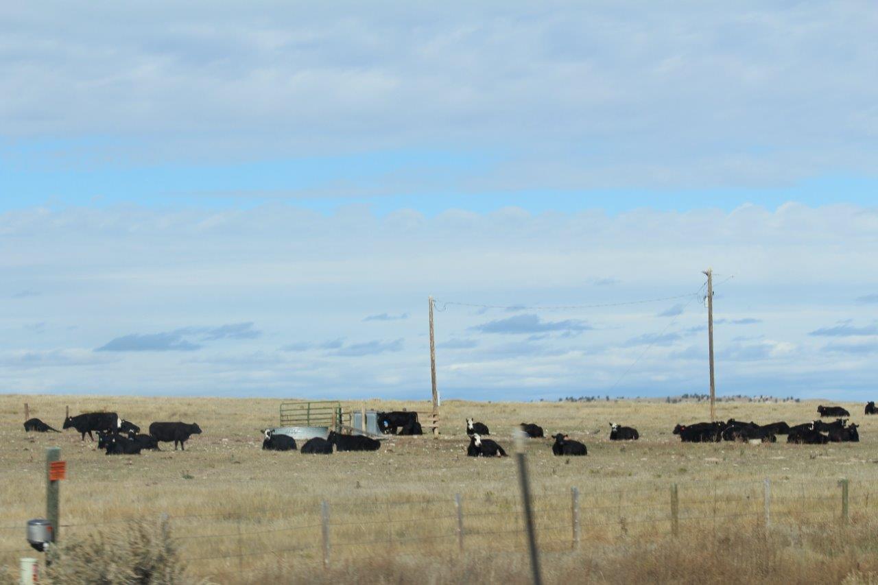 Sarah Lynn's Nature's Splendor Photos Torrington, Wyoming, to Chadron