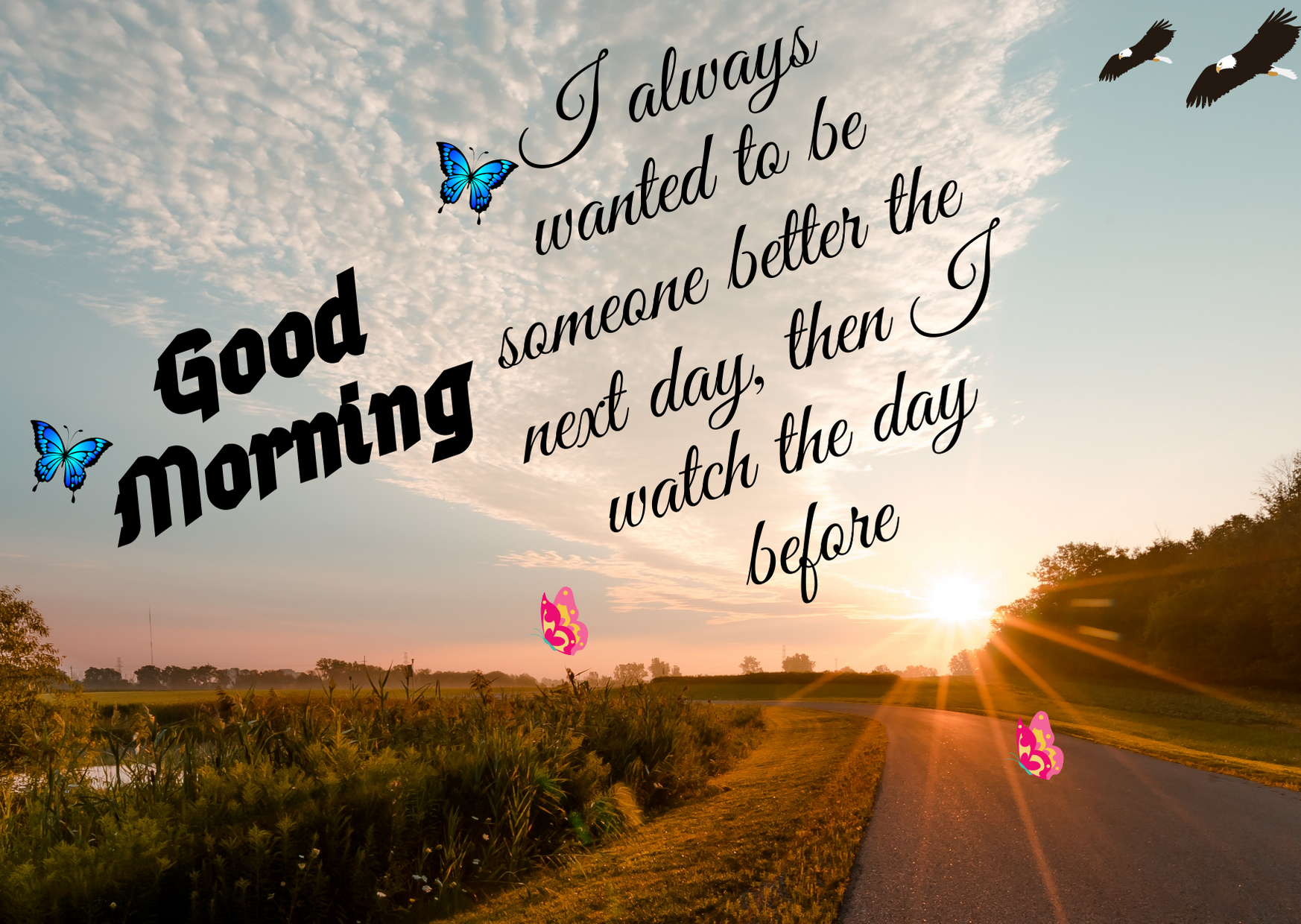 Best Good Morning HD Images for whatsaap free download, Romantic Good Morning English Status, 100 whatsaap  Good Morning wishes HD photos, ansuin21.com