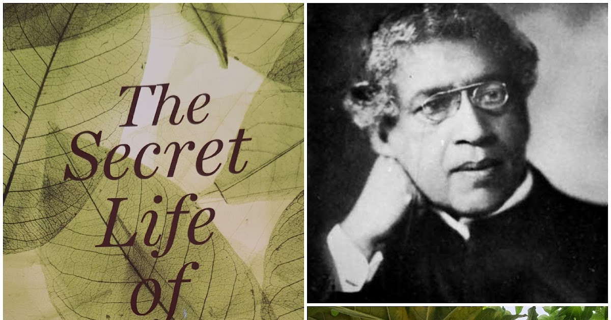 Do plants have emotions???