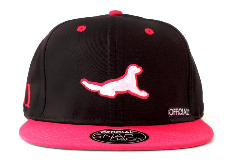 LRG x Official x Matriz Skateshop - Colaborações comemorativas de 11 anos da loja de Porto Alegre 291813 1 - LRG x Official x Matriz Skateshop - Colaborações comemorativas de 11 anos da loja de Porto Alegre