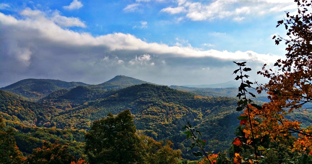 Fraulein Wollwunder Acrylwolle Hat So Viele Vor Ur Teile