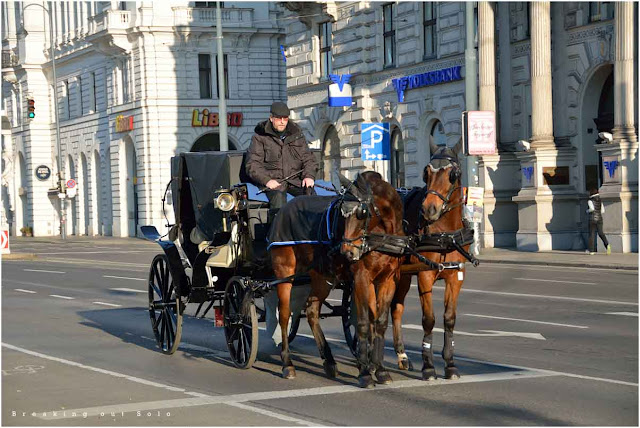 Horse drawn carriage Austria Vienna
