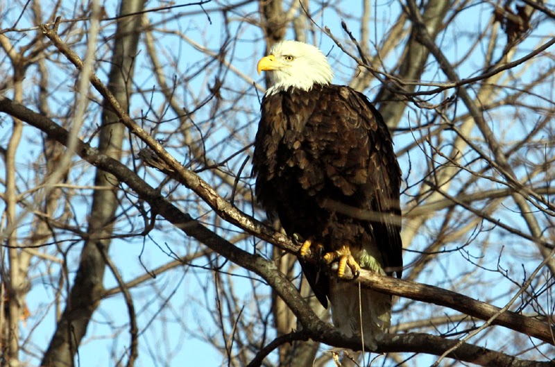 Iowa's Winter "Slumber" Party