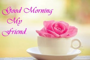 Happy Good Morning Photos Happy Good Morning Photos