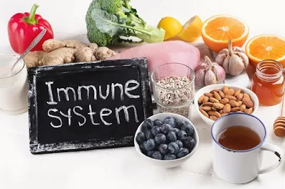 Immune System (Sistem Imun / Kekebalan / Daya Tahan Tubuh Manusia)