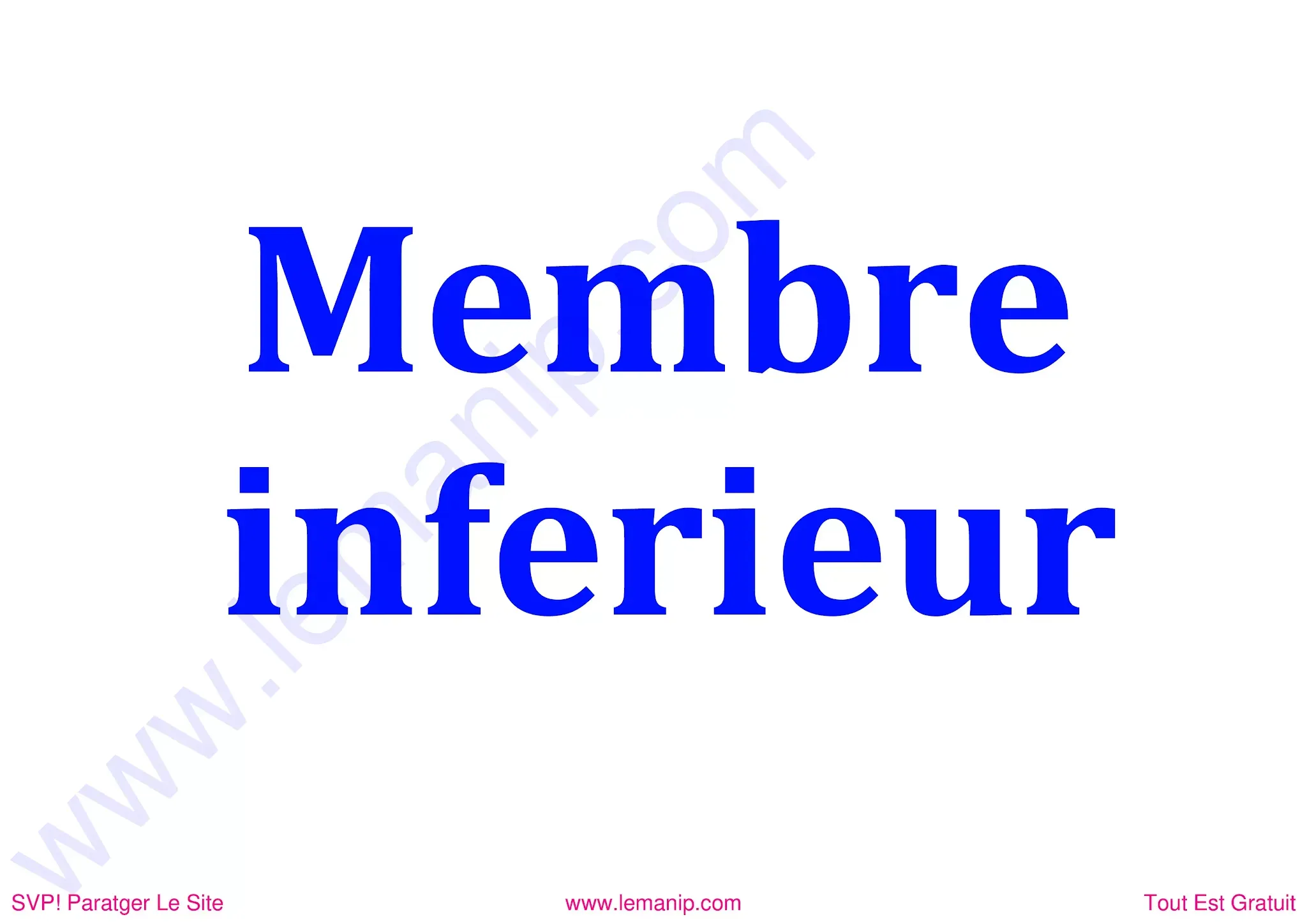 6. Incidence Radiologique Du Membres Inferieures